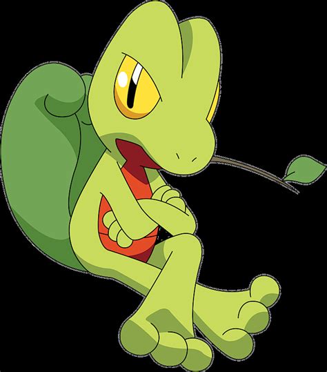 treecko evolution|Treecko Pokédex .